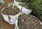 Free soil take away