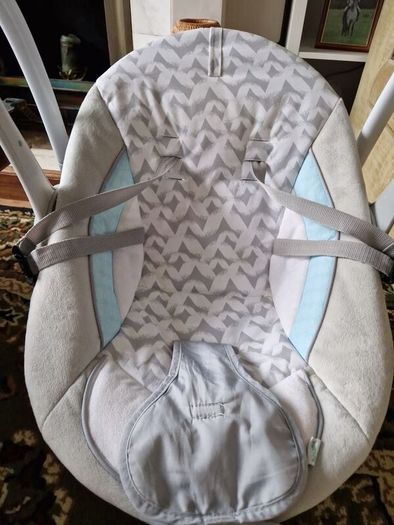 Ingenuity Baby Swing
