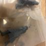Warhammer 40k Death Korps of Krieg Proxy Squad Image 6