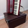 Parrot Piano Accordion Image 2