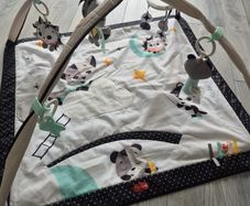 Tiny Love Gymini Playmat