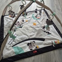 Tiny Love Gymini Playmat