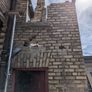 Reclaimed bricks Image 4