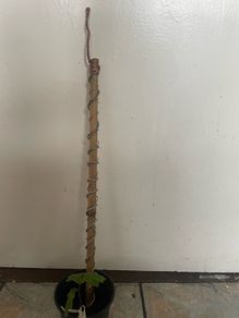 Electroculture Zinc & Copper Rods