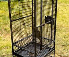 cage for parrot