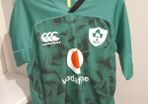 Ireland rugby jersey