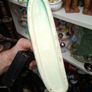 Antique Items for sale, PRICE IS FOR 1 ONLY Postage Available or Collection, Image 7