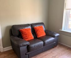 2 seather leather sofa with decorative cushions