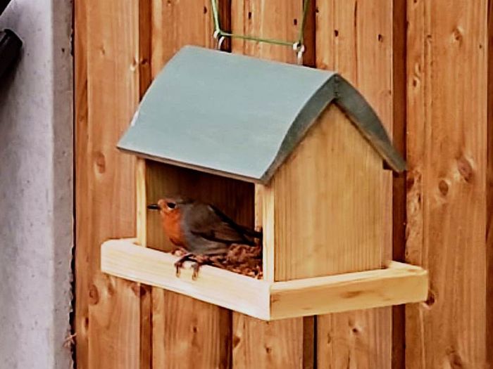 Personalized Bird Feeders