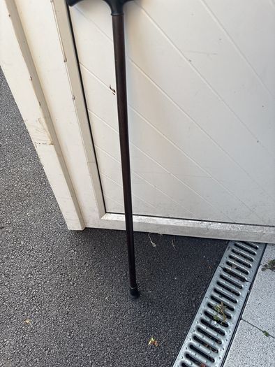 walking stick