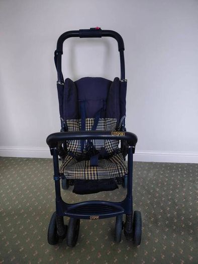 Buggy - light weight, compact with carry strap