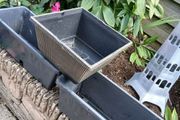 Plant Pots x 3