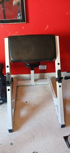 preacher curl