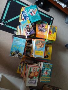 Novels and picture books