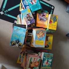 Novels and picture books