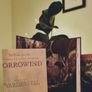 Morrowind Collectors Edition Guide Book & Map Image 2