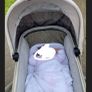 Venicci Pram Image 3