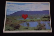 Ireland Postcard : Renvyle , Connemara , Co. Galway - 1960s