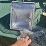 70w floodlight Image 4