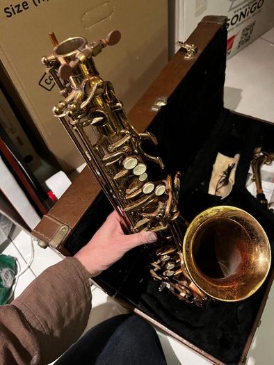 Artemis Alto Saxophone with Hard Case