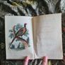 Scarce Lloyd's Natural History - 1896/7, 2 Vol. Set. Free Postage. Image 6