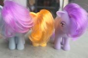 3 x Reproduction Blossom Butterscotch Bluebelle Basic Fun MLP based on G1 My Little Pony 2007 2017