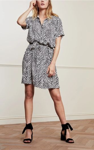 Fabienne Chapot New Dress