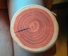 Round Flat Cushion. Looks Like A Piece Of Timber (new).