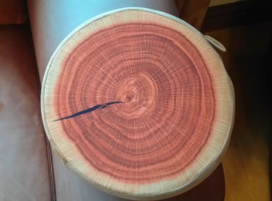 Round Flat Cushion. Looks Like A Piece Of Timber (new).