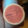 Round Flat Cushion. Looks Like A Slice Of Orange (new). Image 10