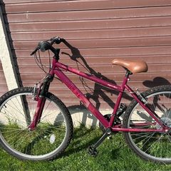 Apollo Twilight Bike