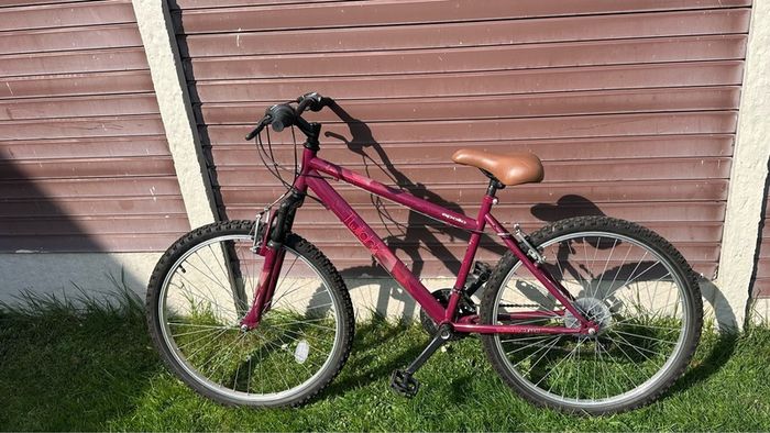 Apollo Twilight Bike - Ladies
