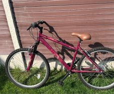 Apollo Twilight Bike - Ladies