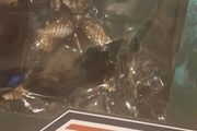 action figures..predator