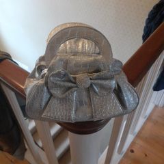 Silver bag