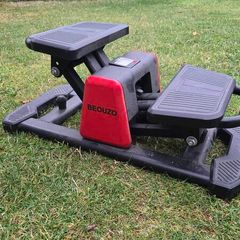 Twist Stepper