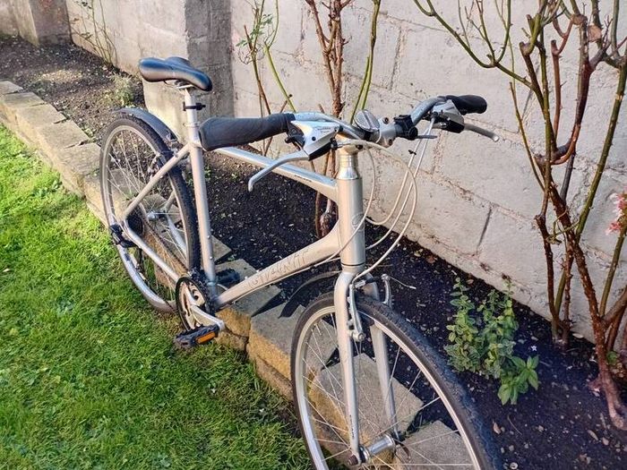 adults bike