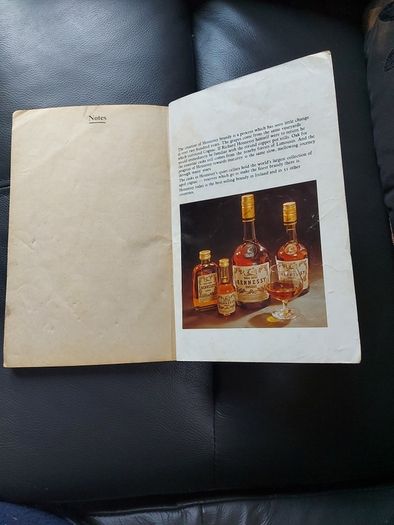 Vintage Dublin City Street finder
