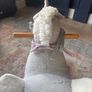 Rocking Horse Image 6