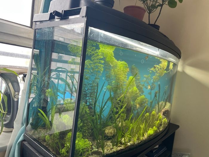 160l AQUAEL Fish tank