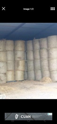 Round and square bales of hay for sale