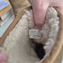 Ugg boots Image 4