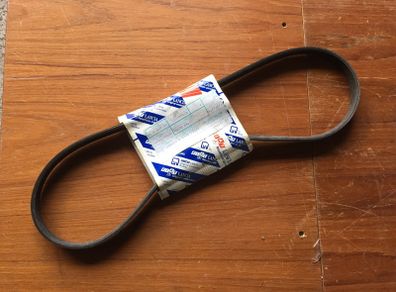 Alternator Belt (Fiat Coupe)