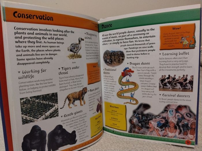 First Fun Encyclopedia Hardback Book