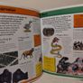 First Fun Encyclopedia Hardback Book Image 6