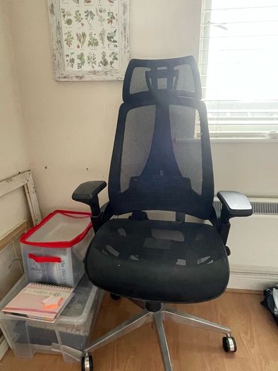 Ergonomics Office chair