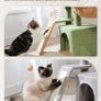 Road Cactus Cat Tree With Scratching Pad and Hammock Cat Tower With Condo, Small Cat Tower Comfy Basket For Indoor Cats, 80cm Green Image 4