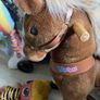 Small pony cycle Image 3