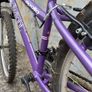 Apollo Twilight Small Mountain Bike - 14" Frame Image 4