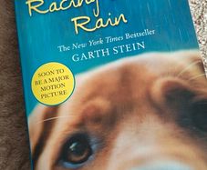 Garth Stein - The art of racing in the rain